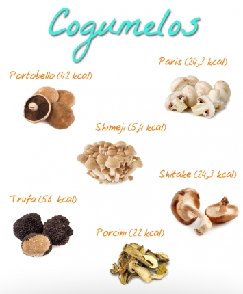 Informações nutricionais dos cogumelos comestíveis
