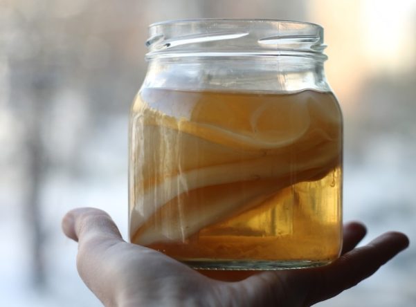 Benefícios da kombucha