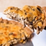 Tortas vegetarianas mais gostosas: torta de cogumelos
