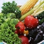 Suplementos vitamínicos e alimentares à dieta vegetariana